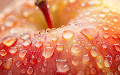Siamo alla frutta | di Caterina Civallero